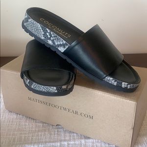 Coconut by Matisse Black & Snake Skin Slides